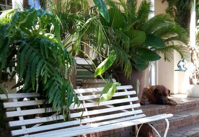 Mavilla Stellenbosch B&B Luaran gambar